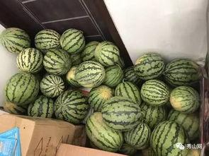 南安吃瓜群,揭秘网络社交背后的趣味与争议