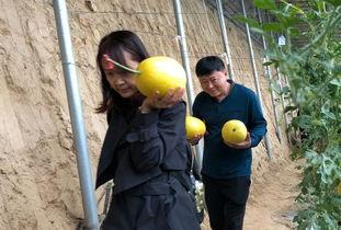 带你吃瓜山东章丘,一场别开生面的“吃瓜”之旅