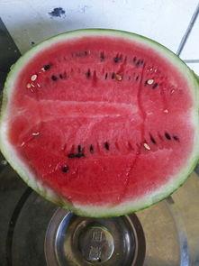 6月吃瓜合集,盘点娱乐圈热点事件大盘点