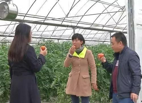 吃瓜与围观群众