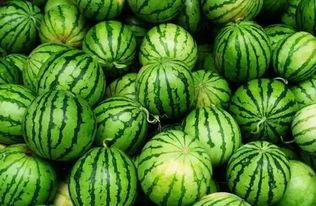 qa吃瓜群,网络社交新现象背后的故事