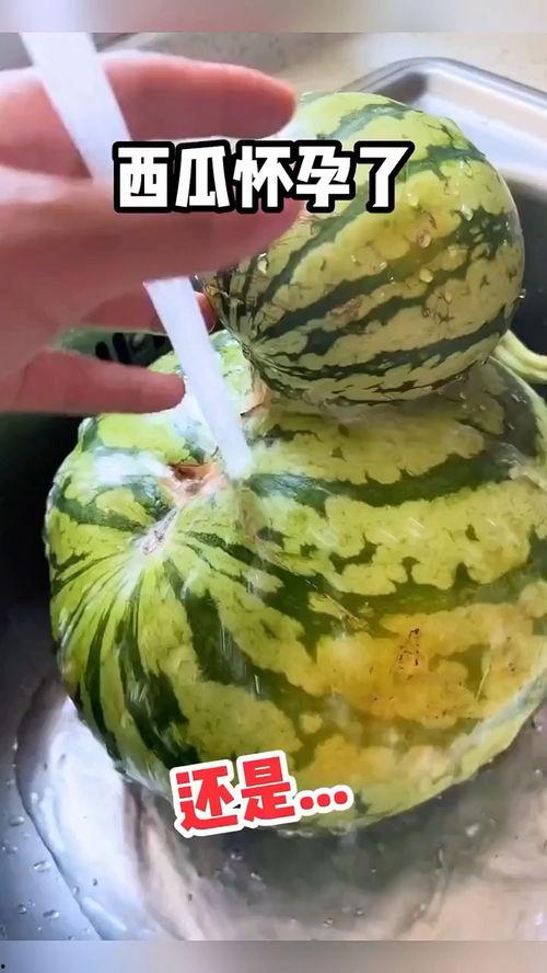 搞笑吃瓜声音,笑料横生！揭秘搞笑吃瓜声音背后的趣味故事