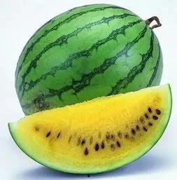 吃瓜中心怎么使用