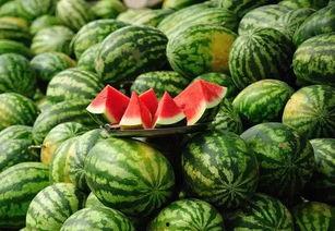 吃瓜中心怎么使用