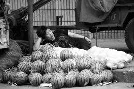 威海吃瓜事件完整经过,一场网络热议背后的真相与反思