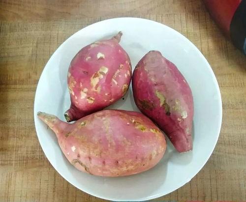 毛不易瓜吃地瓜,瓜吃地瓜的故事