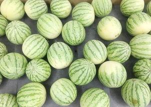 吃瓜爆料真实吗