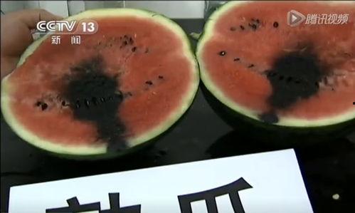 吃瓜娱乐揭秘吃瓜,吃瓜背后的真相与内幕