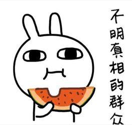 吃瓜吃多口臭,揭秘口腔健康小贴士