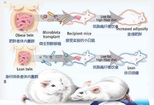 小王的吃瓜日记