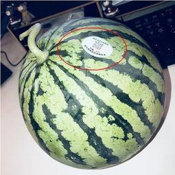 永年网红吃瓜,揭秘网络热点背后的故事