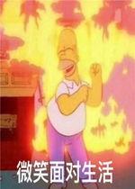 疯狂吃瓜的意思