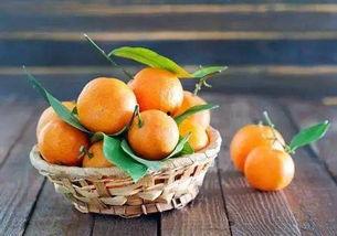 只吃橘子不吃瓜,揭秘只吃橘子不吃瓜的奇妙生活