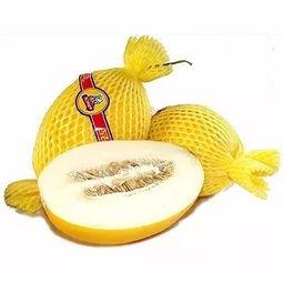 睡前吃蜜瓜,揭秘睡前享用蜜瓜的奇妙体验