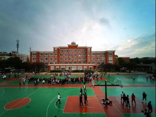 梧州学院吃瓜操场,校园生活新风尚