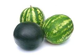 海盐吃瓜事件,揭秘网络舆论的狂欢与反思  第3张