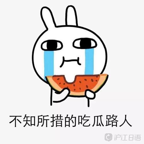 被迫吃瓜的日常,揭秘日常生活中的“瓜界风云”  第1张