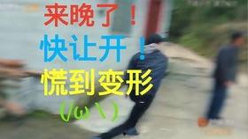 被迫吃瓜的日常,揭秘日常生活中的“瓜界风云”  第2张