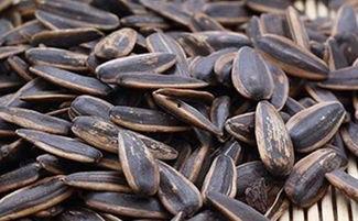 吃瓜是什么瓜子