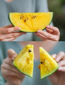 衢州夫妻吃瓜,一场引发网友热议的邻里纠纷