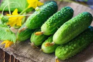 吃瓜减肚子,轻松减肚子，健康享瘦新体验  第2张