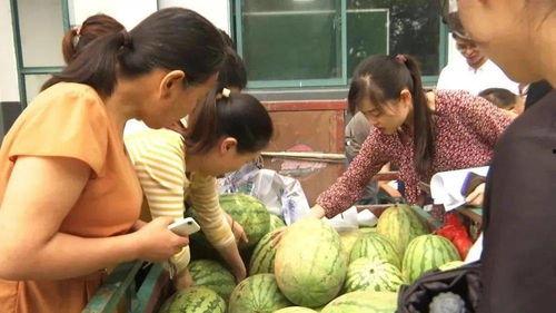 扶首瓜怎么吃,解锁美味新体验