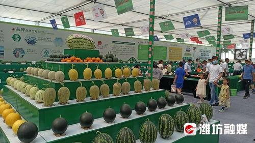 江西吃瓜电商,打造本地特色美食新零售平台  第3张