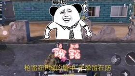 吃瓜歌改编,揭秘娱乐圈背后的酸甜苦辣