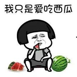 娱乐吃瓜生,吃瓜群众背后的故事  第2张