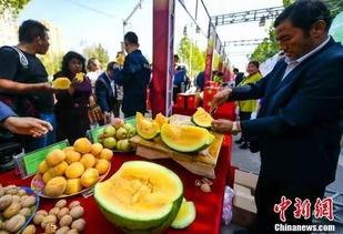 吃瓜来店中国,探寻中国美食文化的独特魅力