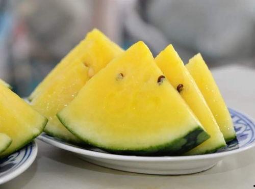 舌尖上的美食吃瓜