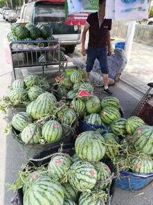 蒙自吃瓜热点事件