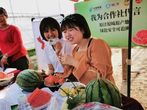 盐城的吃瓜群众,街头巷尾的美食风云录