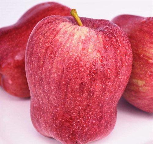 宝宝吃黄河蜜瓜