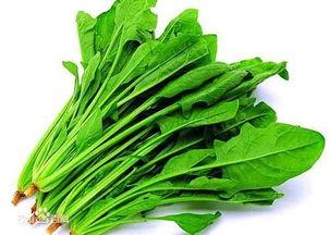 吃伏瓜会致癌,吃伏瓜致癌真相与科学防护