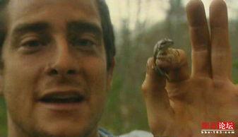 霸道牛人吃瓜视频,揭秘娱乐圈幕后真相