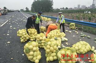 豫园许昌吃瓜,夏日吃瓜盛宴，品味古韵新潮交融