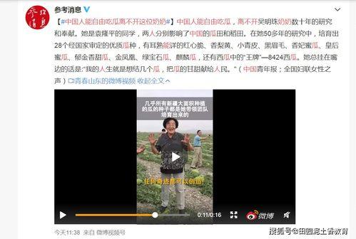 吃瓜中心91,揭秘娱乐圈幕后故事