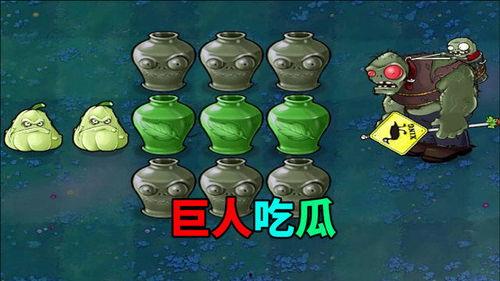 巨人吃哪个瓜,探寻神秘果实的奥秘