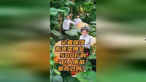 巨人吃哪个瓜,探寻神秘果实的奥秘