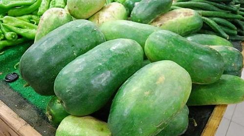 理塘白依吃瓜,瓜果飘香中的田园生活画卷