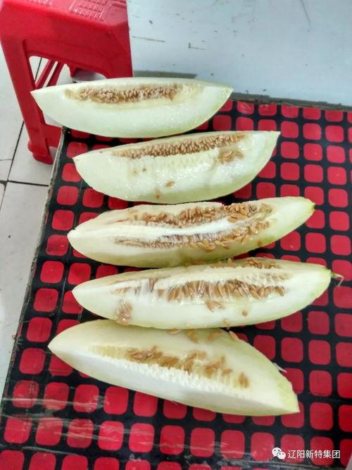 山寨文物带你吃瓜,一场别开生面的“吃瓜”之旅