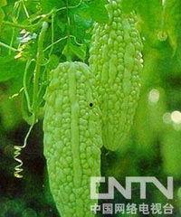 安然吃瓜群,揭秘网络社交圈的趣味与争议