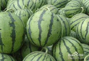 夏天吃瓜降暑吗,吃瓜降温,清凉一夏 第1张 夏天吃瓜降暑吗,吃瓜降温,清凉一夏 第1张