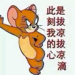 吃瓜群众免费图片,带你领略趣味瞬间  第3张