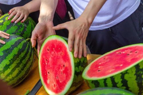 盐城大学城吃瓜,吃瓜群众眼中的校园美食盛宴  第2张