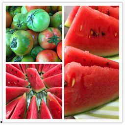 搜狐可以吃瓜吗 第3张 搜狐可以吃瓜吗 第3张