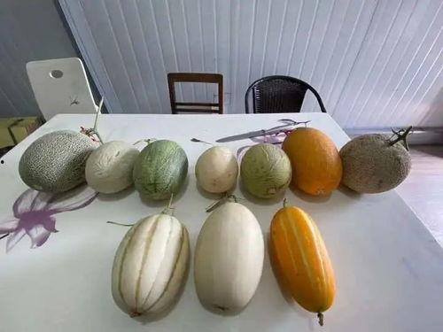 男配每天吃瓜,男配的甜蜜瓜果日常 第2张 男配每天吃瓜,男配的甜蜜瓜果日常 第2张