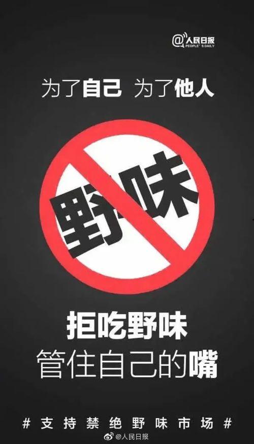 晚上禁止吃瓜小说,禁忌瓜果小说揭秘  第3张