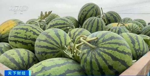 广科师吃瓜 第1张 广科师吃瓜 第1张